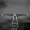 Angle Headstand (Kona Sirsasana)<br>
Benefits.
Strengthens the arms and upper torso. Stimulates blood flow to the pelvic organs, Head and Brain, Rests the heart, relaxes the nervous system. Promotes internal cleansing, stretches the groin and inner leg muscles.
